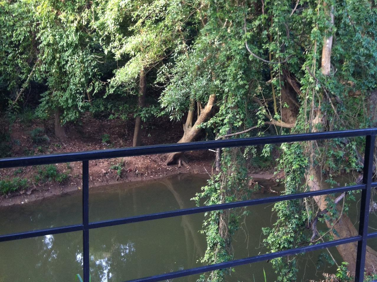 The Creek At Khao Yai Hotel Pak Chong Buitenkant foto