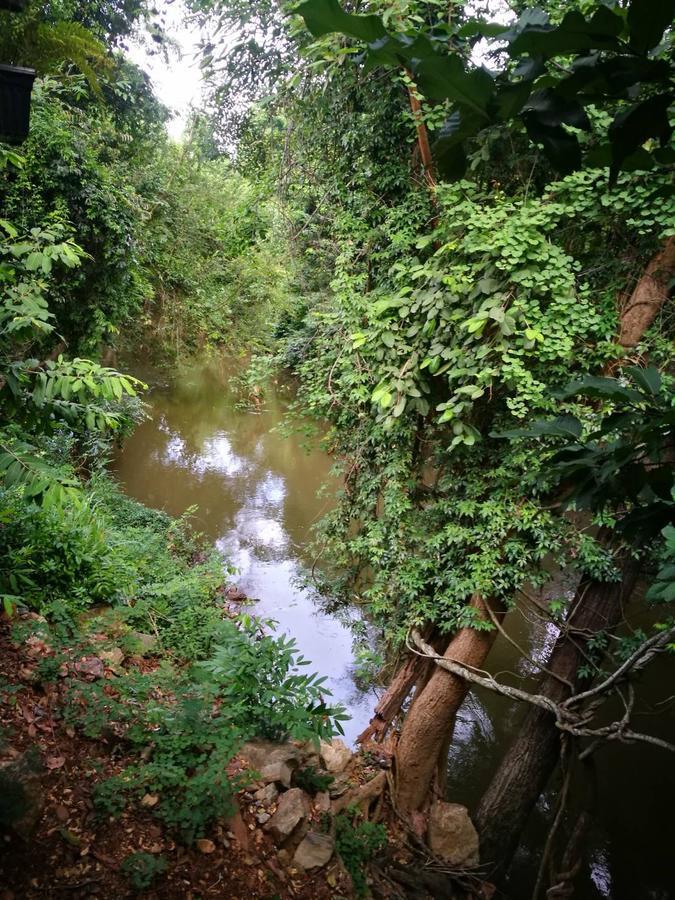 The Creek At Khao Yai Hotel Pak Chong Buitenkant foto
